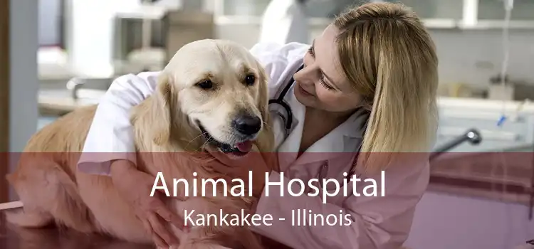 Animal Hospital Kankakee - Illinois
