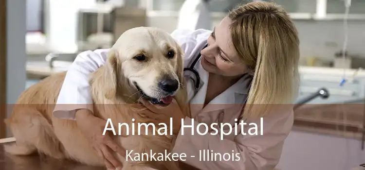 Animal Hospital Kankakee - Illinois