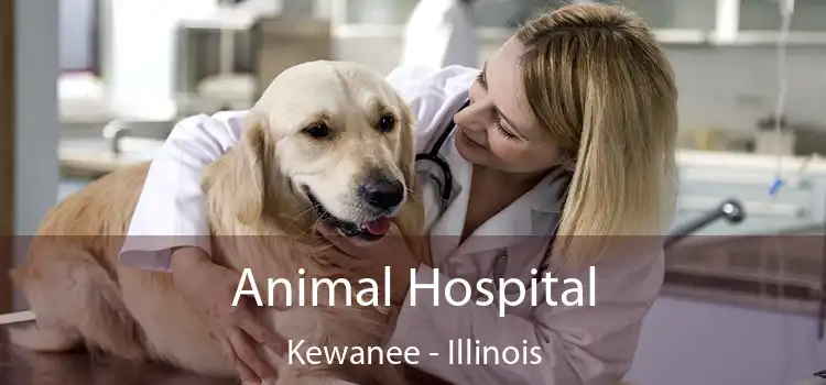 Animal Hospital Kewanee - Illinois