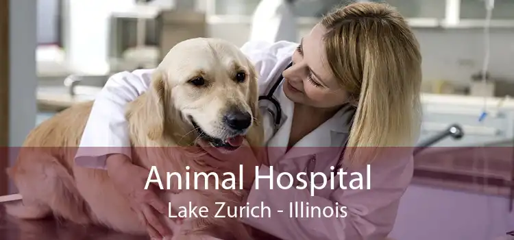 Animal Hospital Lake Zurich - Illinois