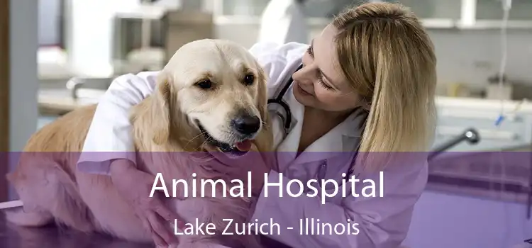 Animal Hospital Lake Zurich - Illinois