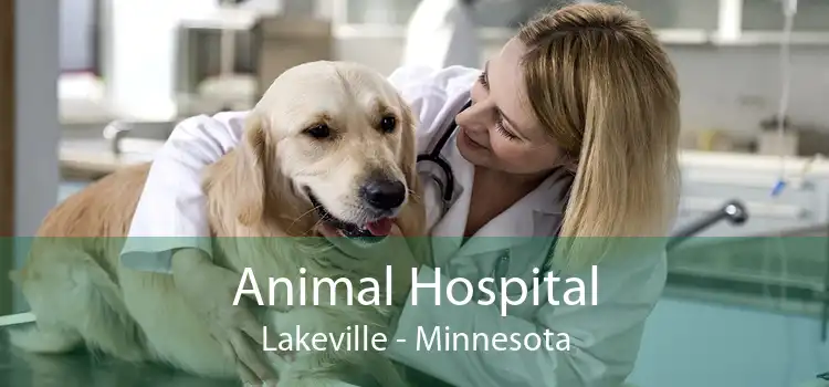 Animal Hospital Lakeville - Minnesota
