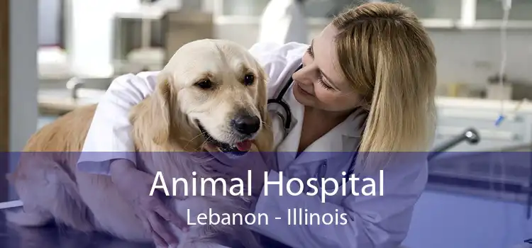 Animal Hospital Lebanon - Illinois