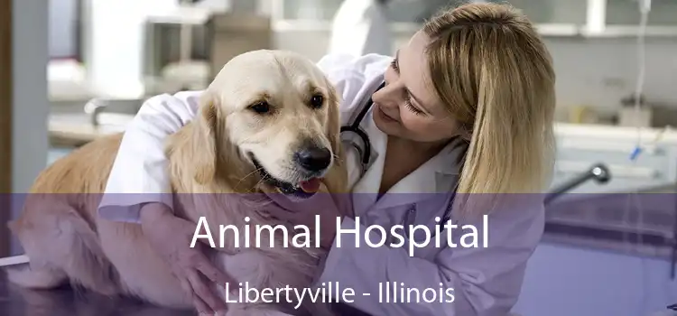 Animal Hospital Libertyville - Illinois