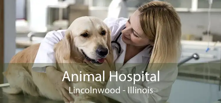 Animal Hospital Lincolnwood - Illinois