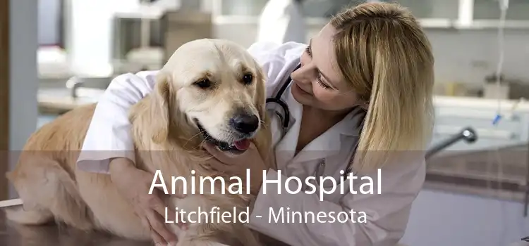 Animal Hospital Litchfield - Minnesota