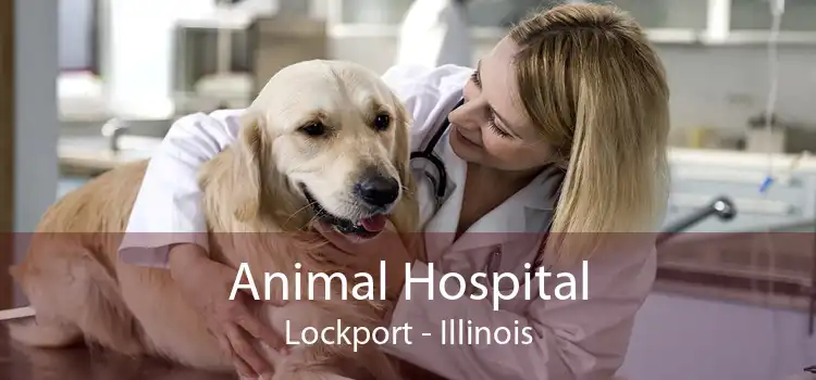 Animal Hospital Lockport - Illinois