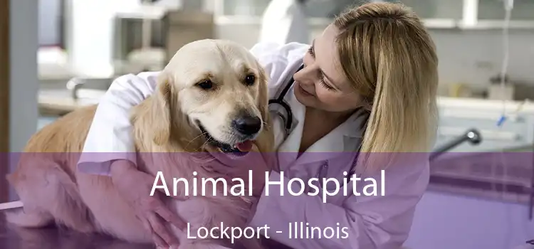 Animal Hospital Lockport - Illinois