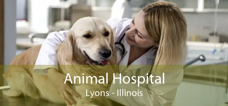 Animal Hospital Lyons - Illinois