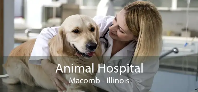 Animal Hospital Macomb - Illinois