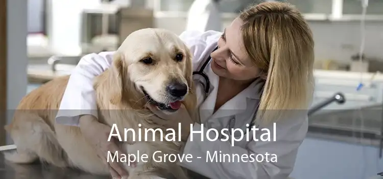 Animal Hospital Maple Grove - Minnesota