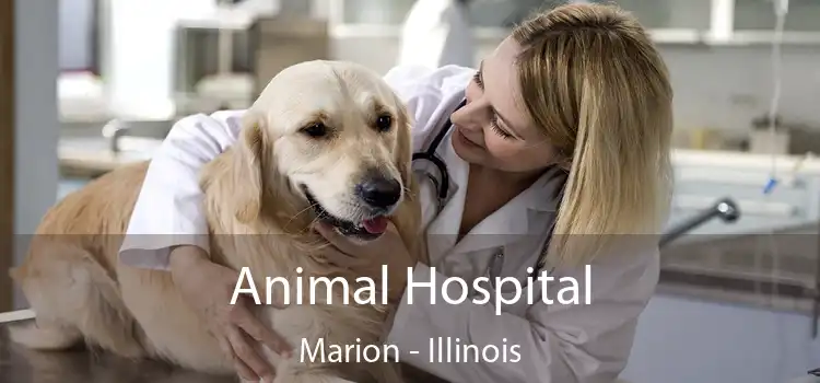 Animal Hospital Marion - Illinois