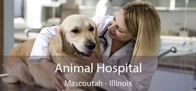 Animal Hospital Mascoutah - Illinois