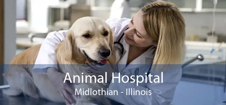 Animal Hospital Midlothian - Illinois
