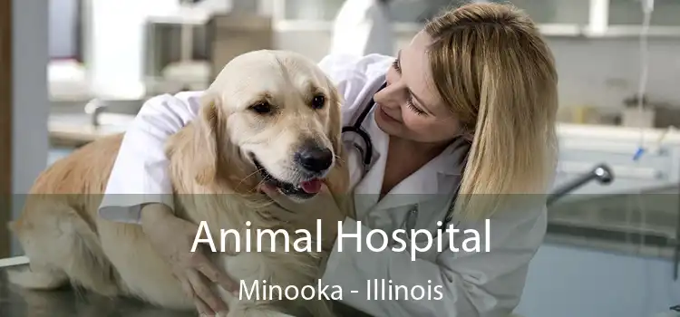 Animal Hospital Minooka - Illinois