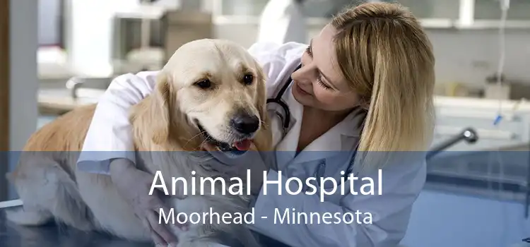 Animal Hospital Moorhead - Minnesota