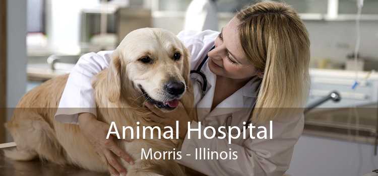 Animal Hospital Morris - Illinois