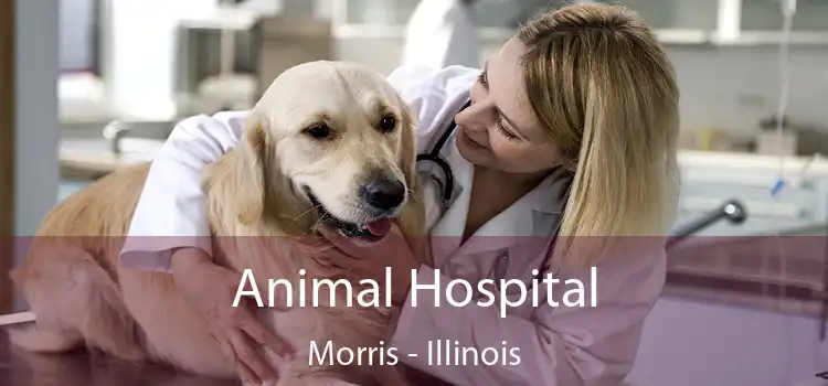 Animal Hospital Morris - Illinois