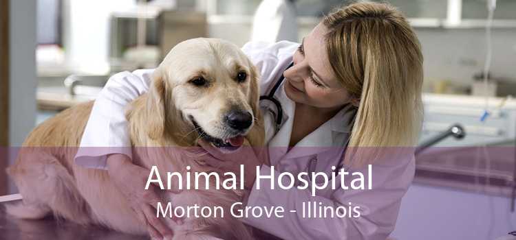 Animal Hospital Morton Grove - Illinois