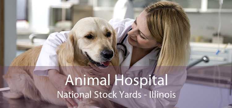 Animal Hospital National Stock Yards - Illinois