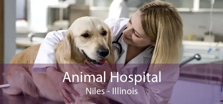 Animal Hospital Niles - Illinois