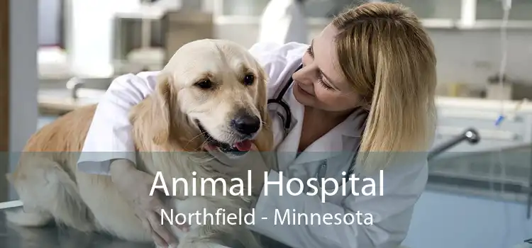 Animal Hospital Northfield - Minnesota