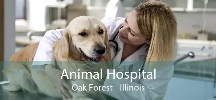 Animal Hospital Oak Forest - Illinois