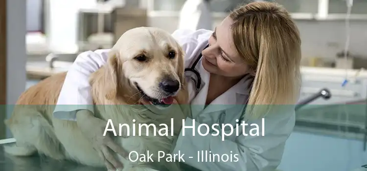 Animal Hospital Oak Park - Illinois