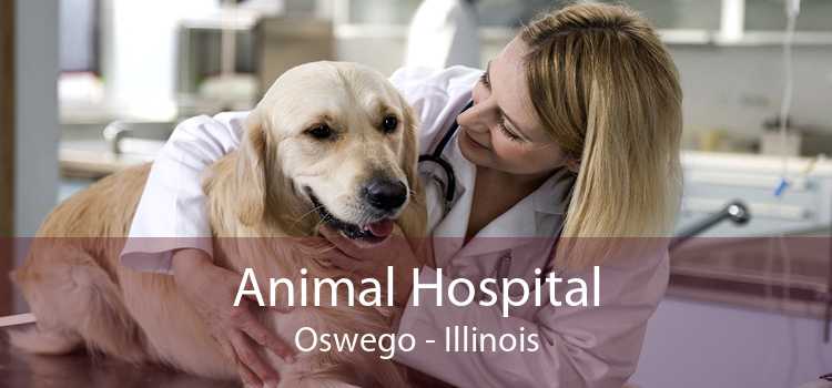 Animal Hospital Oswego - Illinois