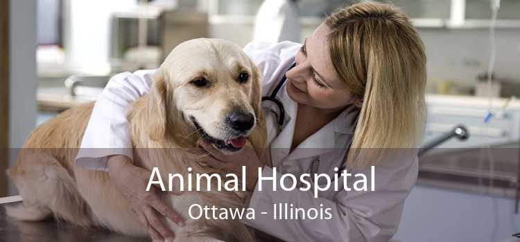 Animal Hospital Ottawa - Illinois