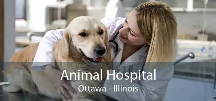 Animal Hospital Ottawa - Illinois
