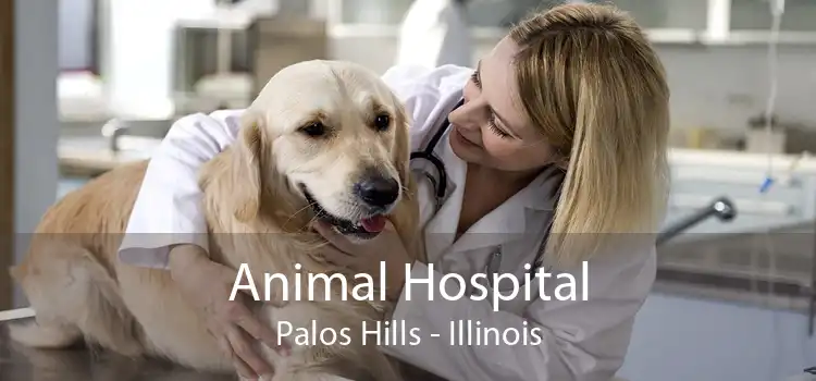 Animal Hospital Palos Hills - Illinois