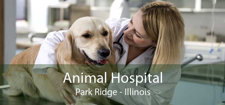 Animal Hospital Park Ridge - Illinois
