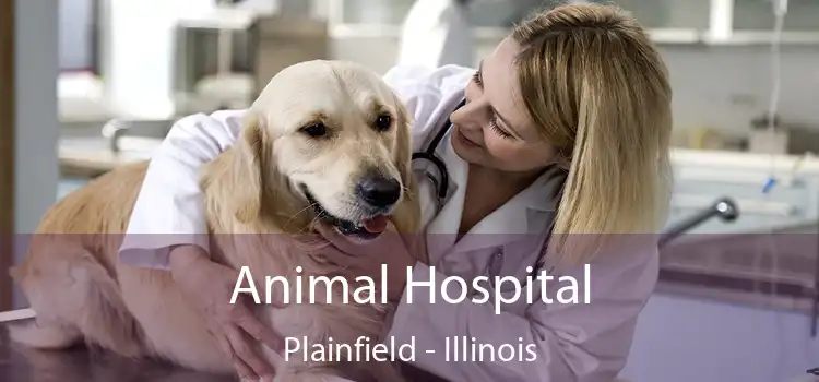 Animal Hospital Plainfield - Illinois