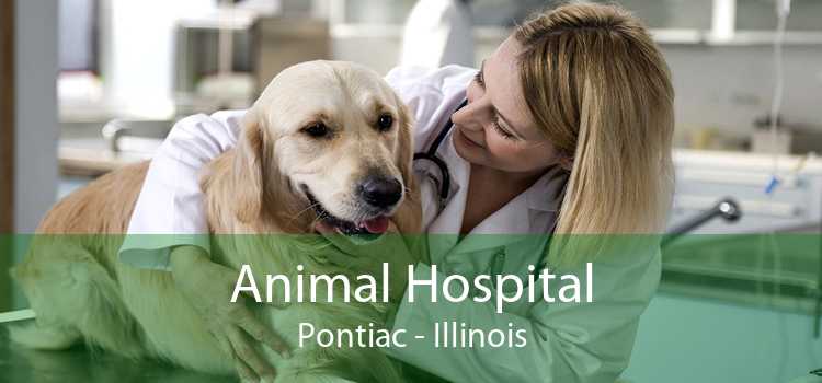Animal Hospital Pontiac - Illinois