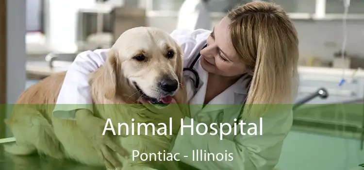 Animal Hospital Pontiac - Illinois