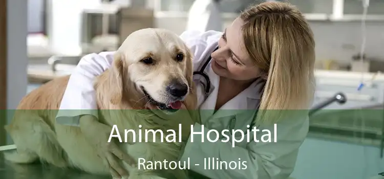 Animal Hospital Rantoul - Illinois