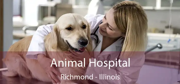 Animal Hospital Richmond - Illinois