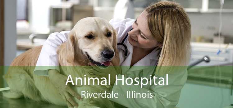 Animal Hospital Riverdale - Illinois