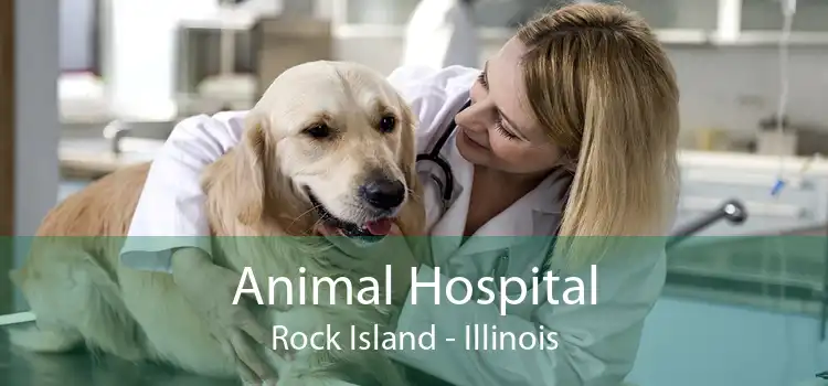Animal Hospital Rock Island - Illinois