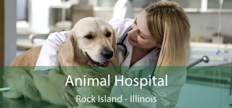 Animal Hospital Rock Island - Illinois