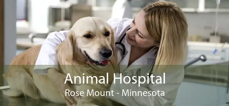 Animal Hospital Rose Mount - Minnesota