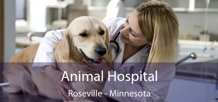Animal Hospital Roseville - Minnesota