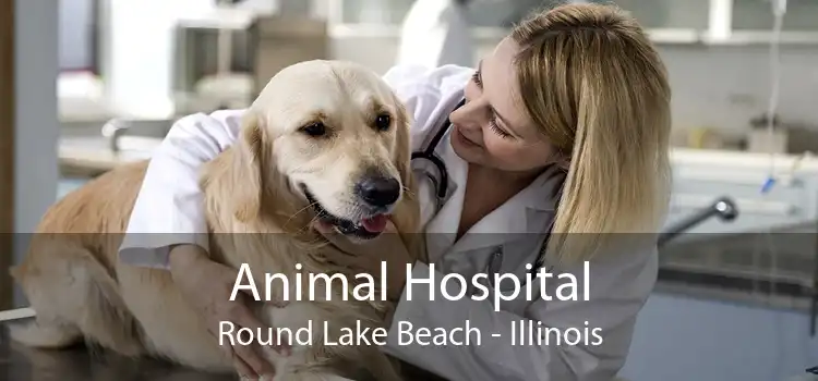 Animal Hospital Round Lake Beach - Illinois