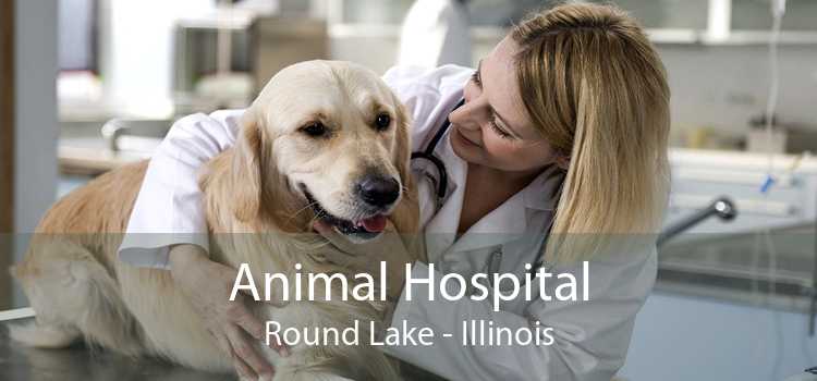 Animal Hospital Round Lake - Illinois