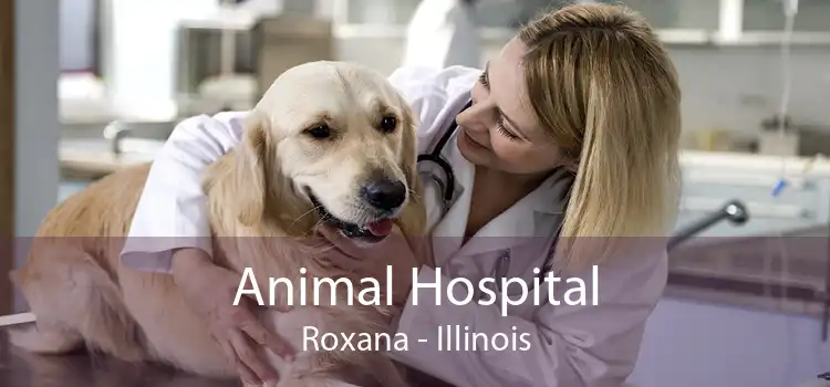 Animal Hospital Roxana - Illinois