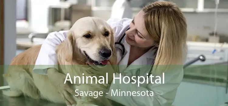 Animal Hospital Savage - Minnesota