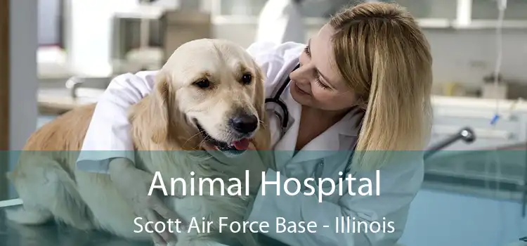 Animal Hospital Scott Air Force Base - Illinois