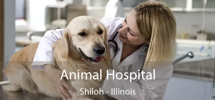 Animal Hospital Shiloh - Illinois