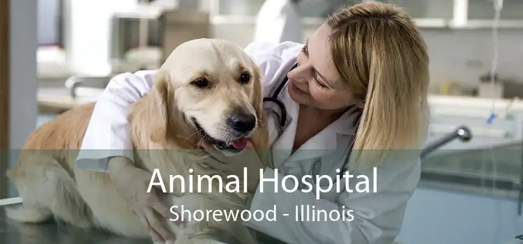 Animal Hospital Shorewood - Illinois